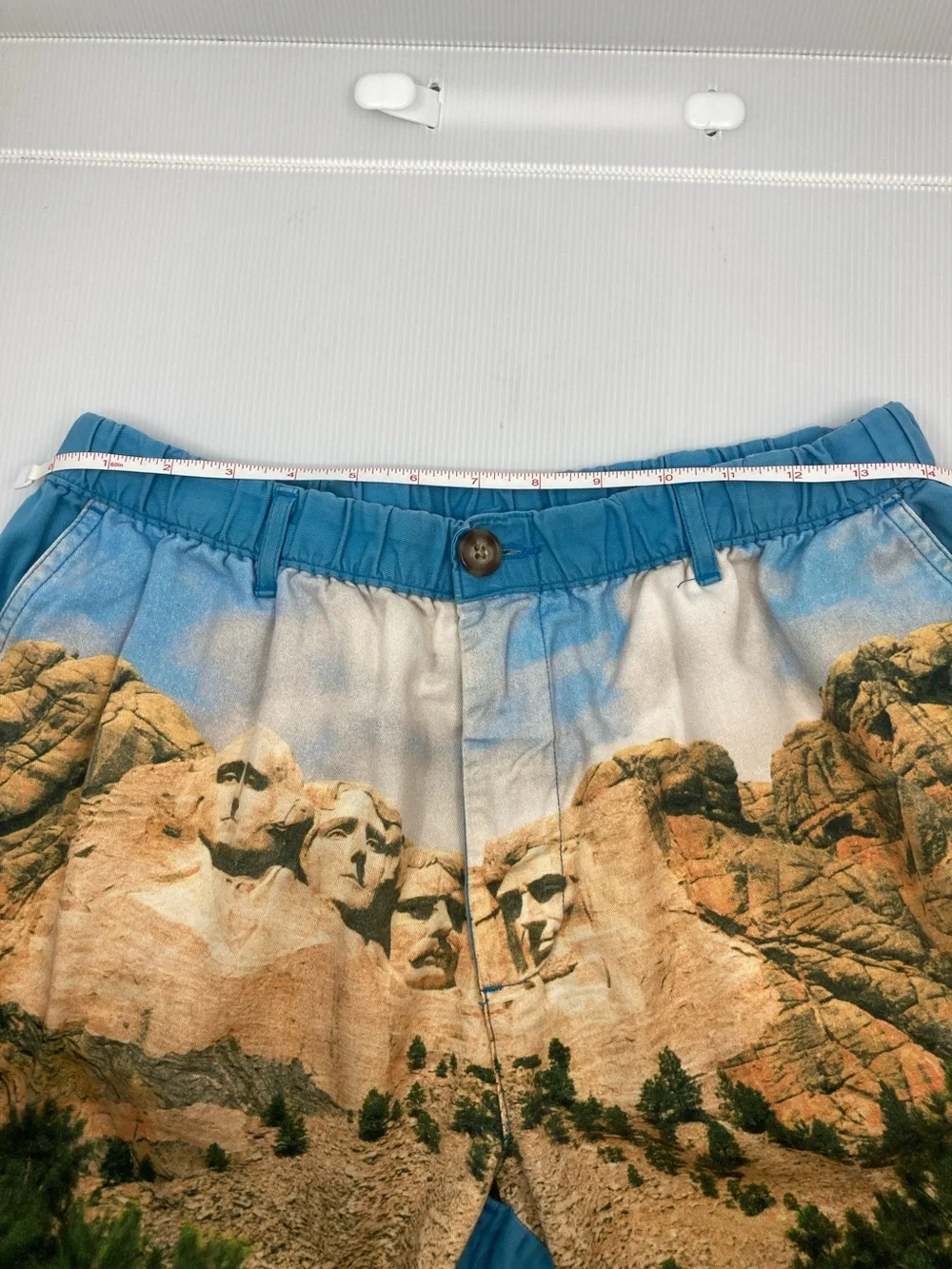 Chubbies Retired HTF Mount Rushmore Graphic Shorts Blue Casual Lounge Swim S597